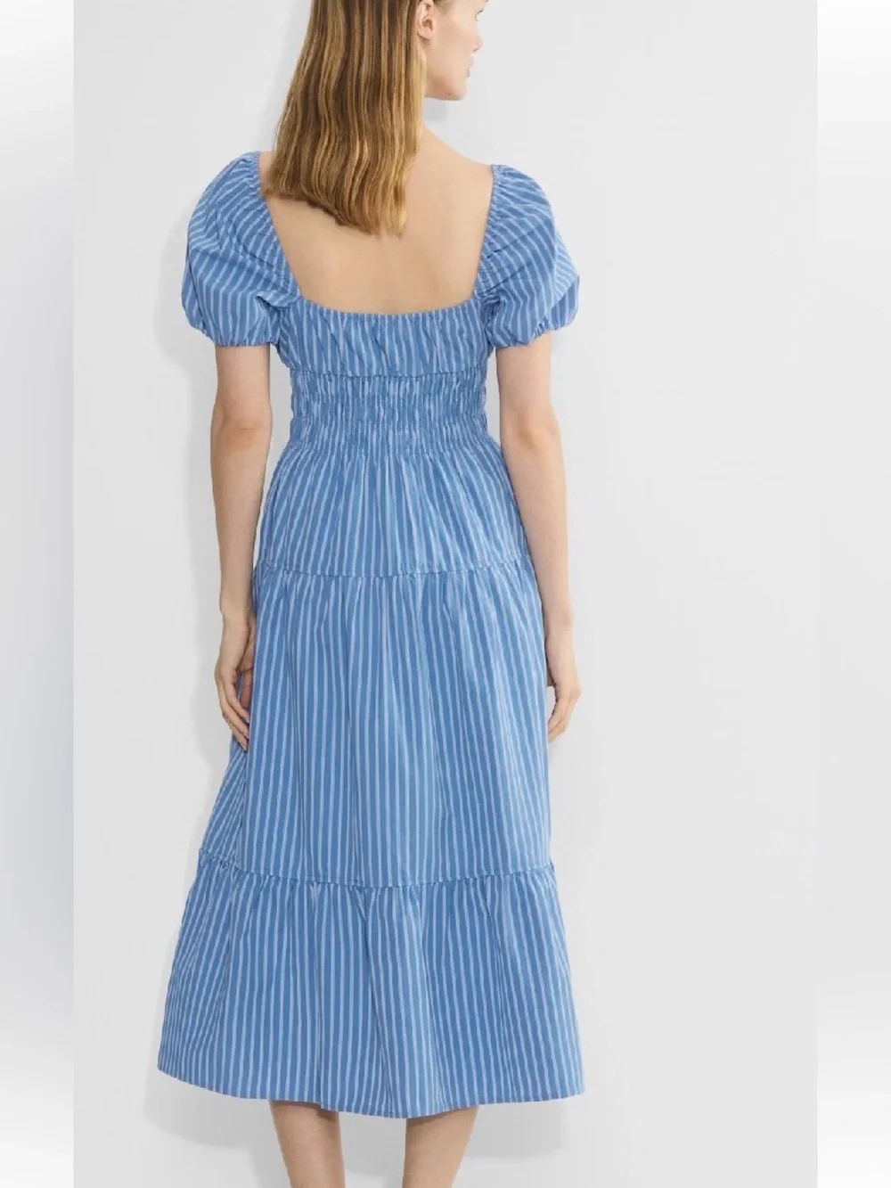 Aritzia Blue Striped Allegoria Poplin Dress - Picture 3 of 8